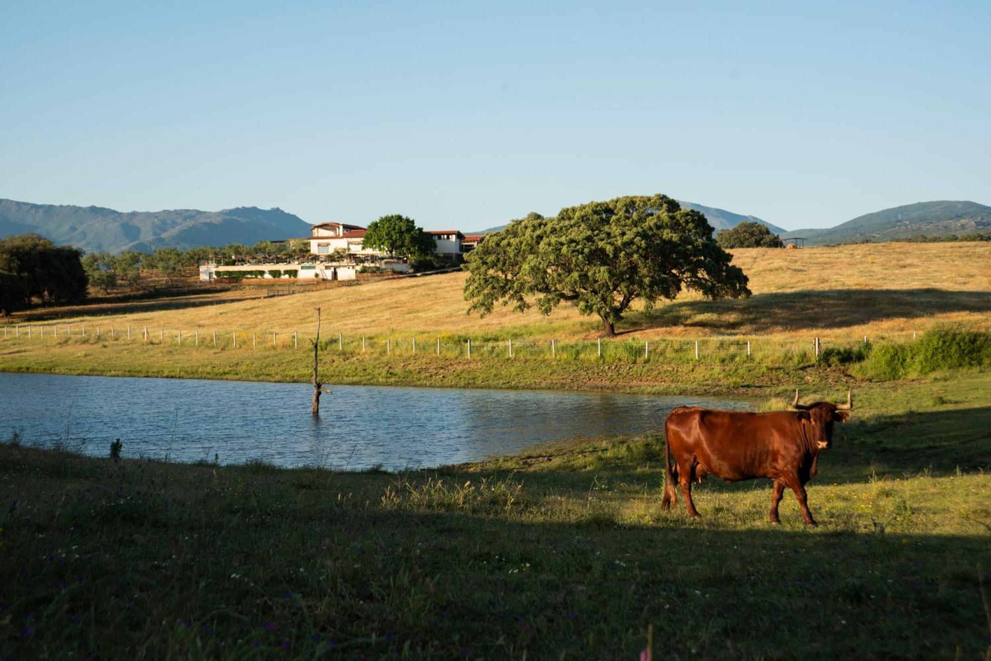 Habitat Cigueena Negra Valverde del Fresno Dış mekan fotoğraf
